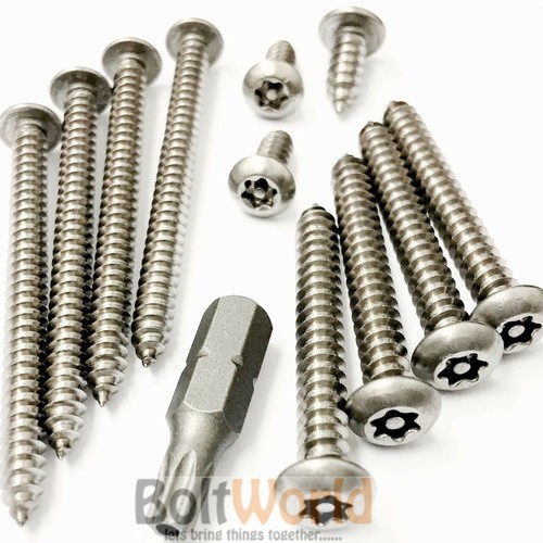 Stainless steel torx - stainless,